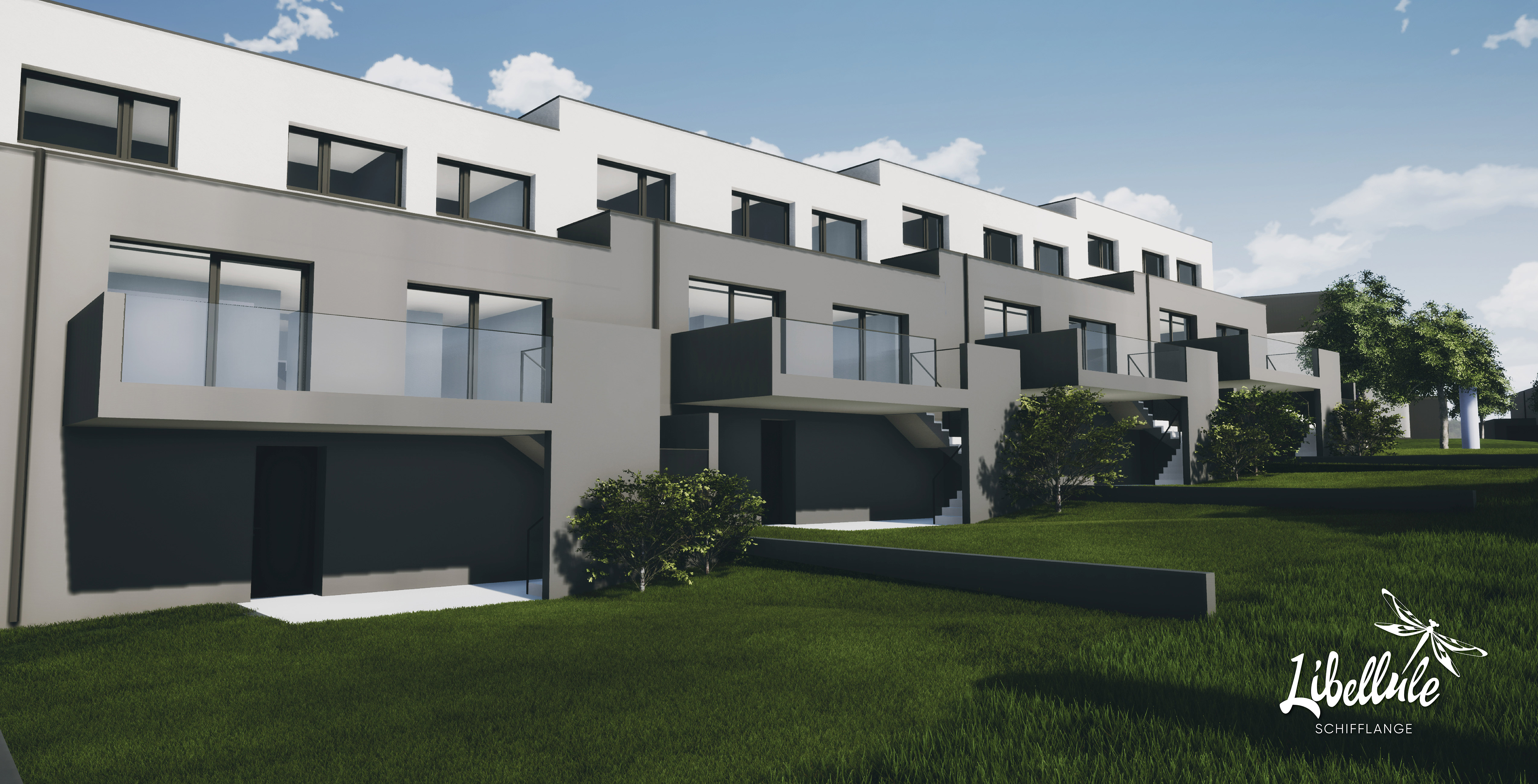 Slider_Libellule_5_opti