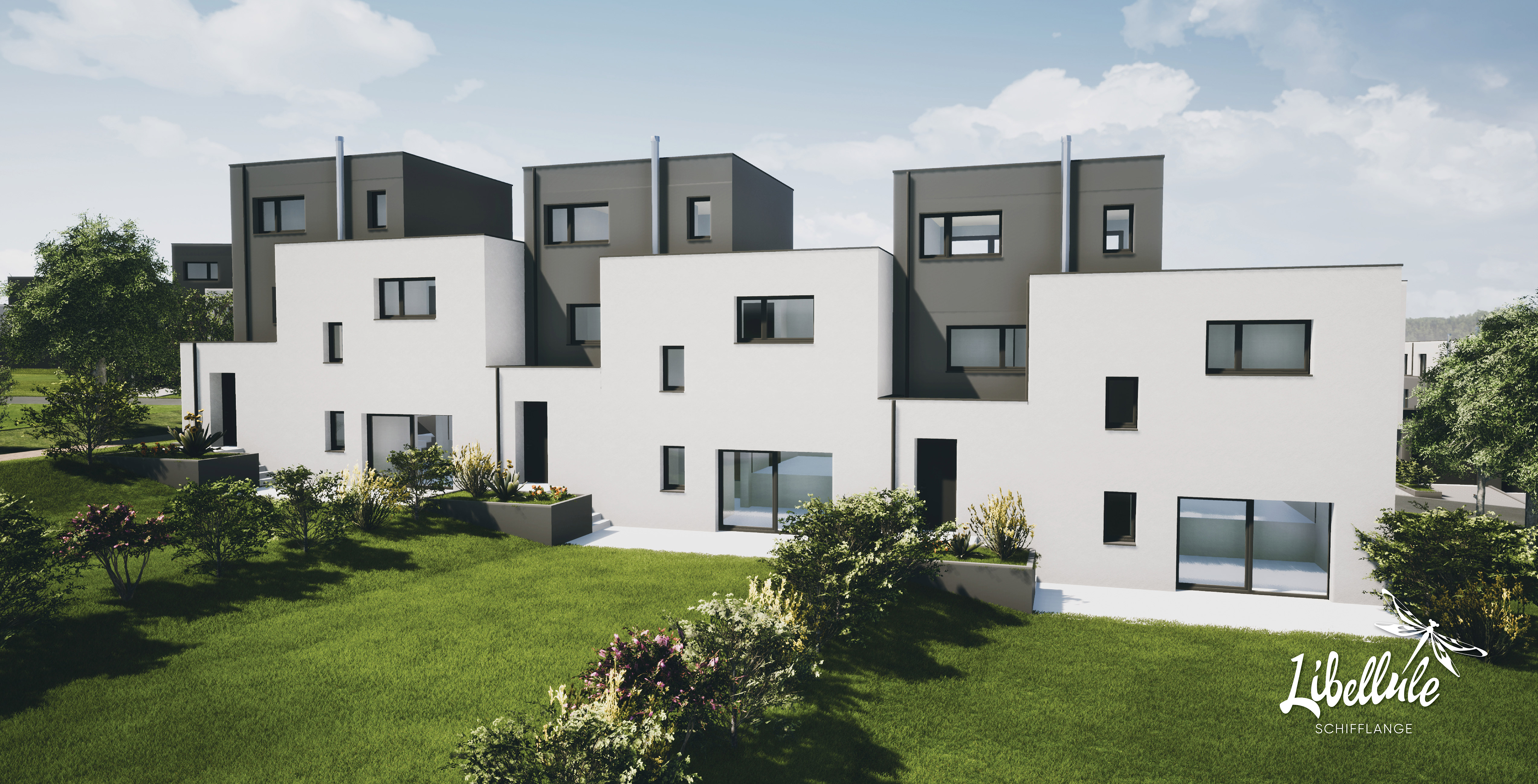 Slider_Libellule_3_opti