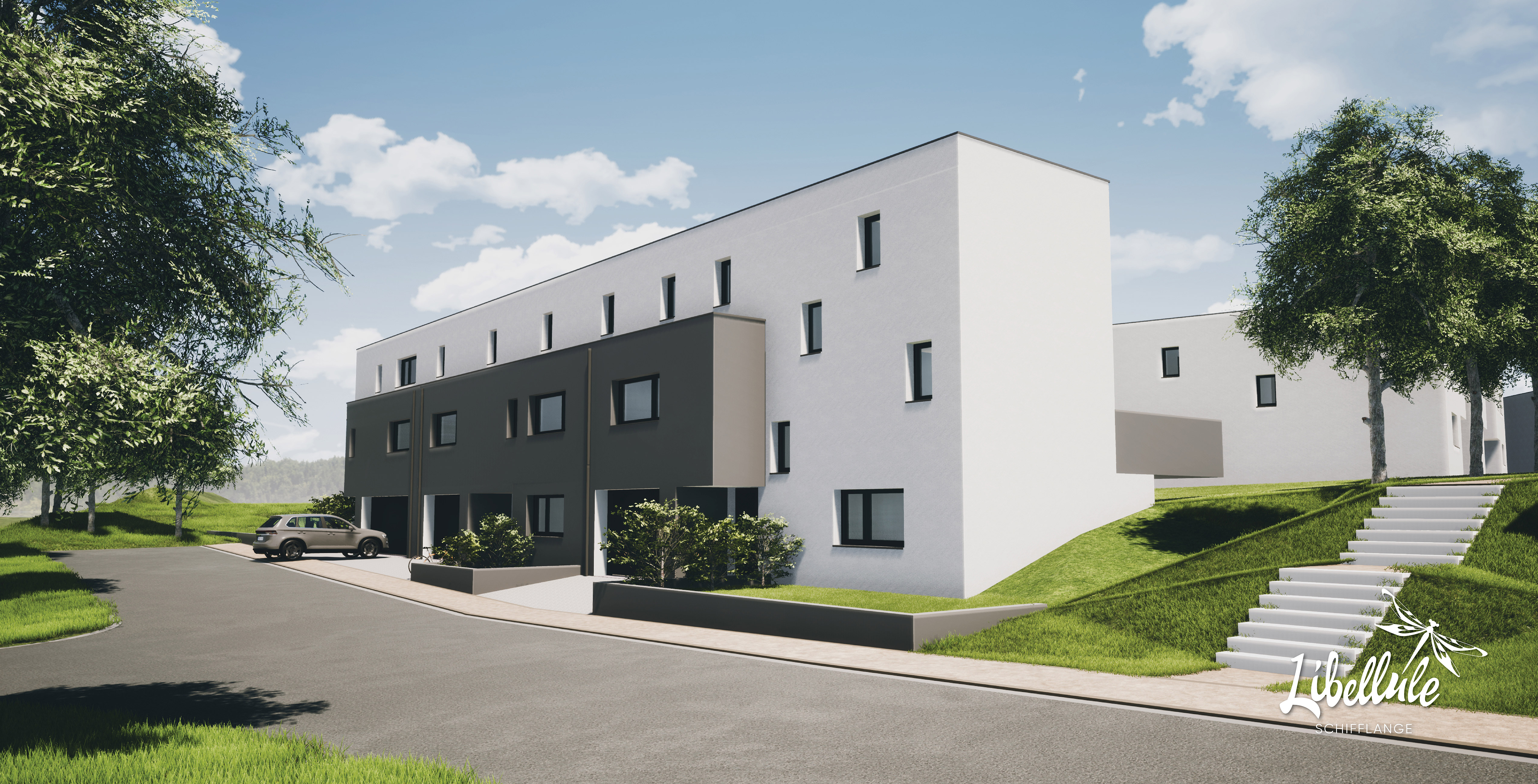 Slider_Libellule_2_opti