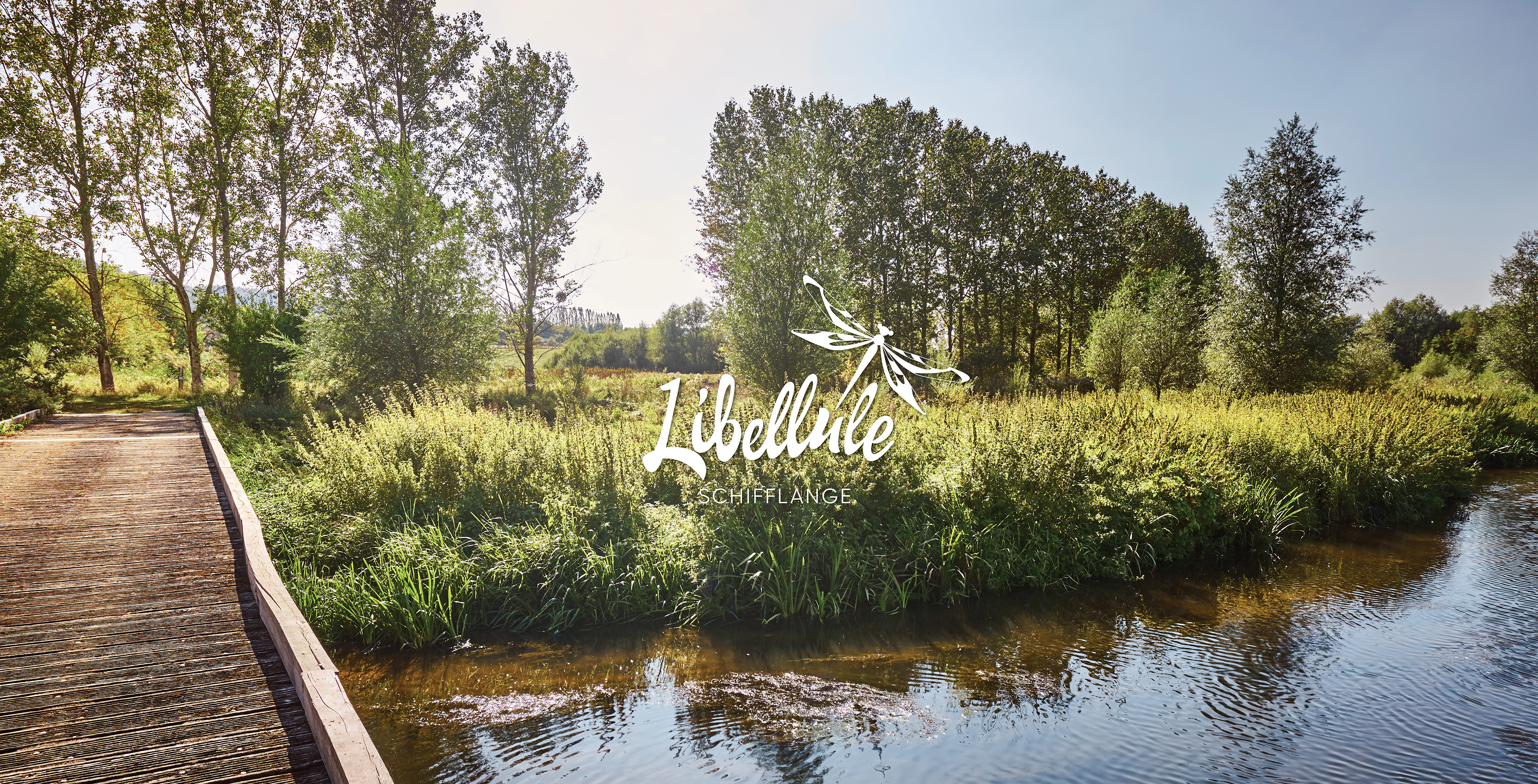 Slider_Libellule_1_opti