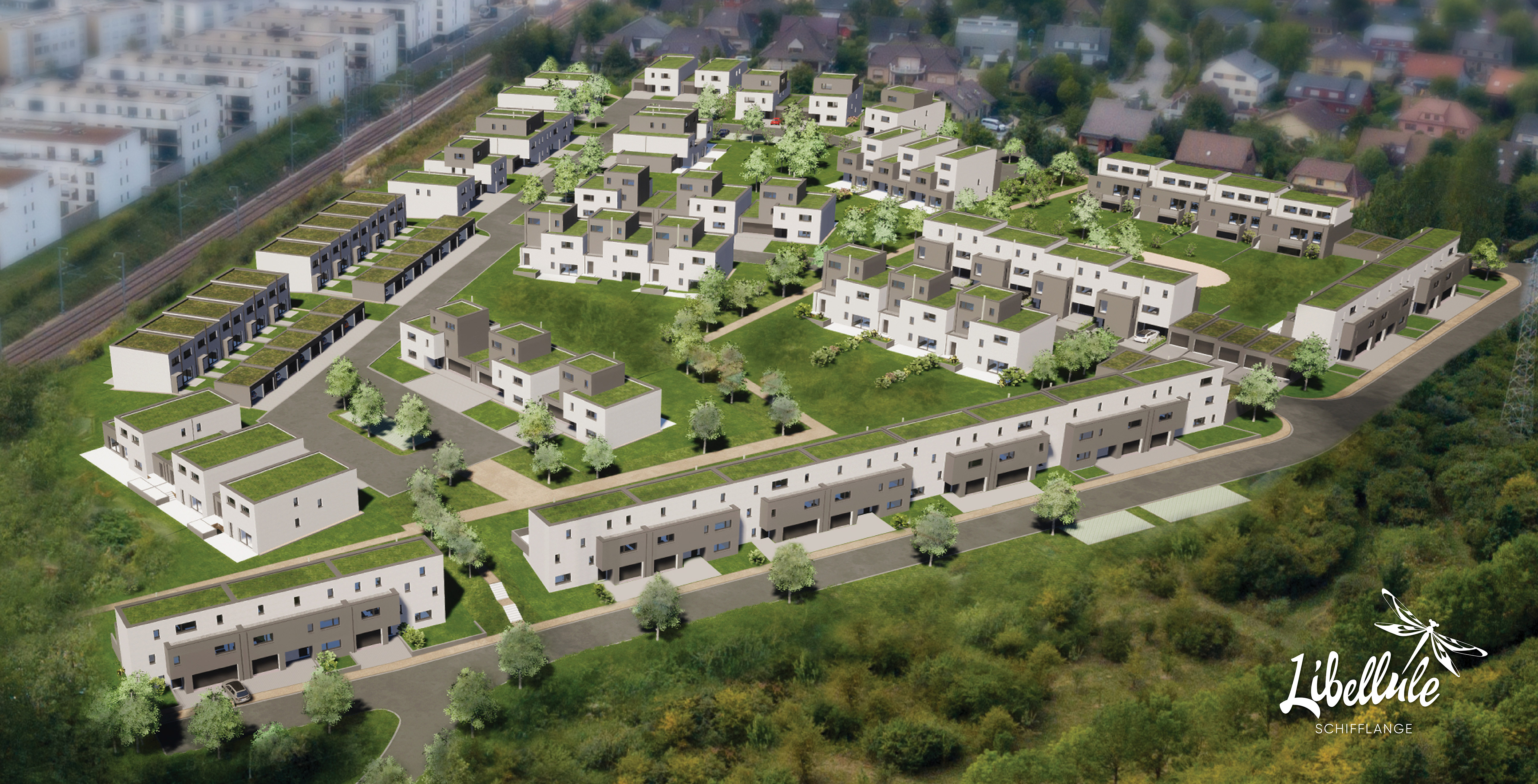 Slider_Libellule_6_opti